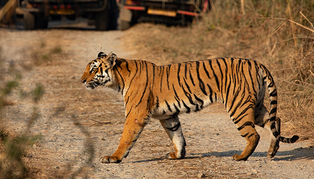 Corbett Tour 